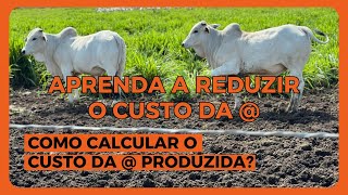 QUANTO CUSTA produzir uma ARROBA  Eu te digo aqui nesse vídeo [upl. by Brendis199]