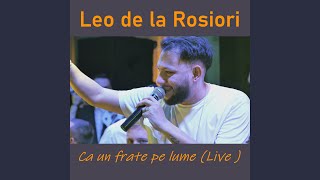 Ca un frate pe lume Live [upl. by Winters775]