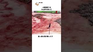 【※これが地球規模の災害です】今の地球でこれ起きたら多分大変な事になるタンボラ山大噴火の雑学 [upl. by Paxton]