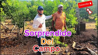 ￼￼Sorprendido del campo de Santana [upl. by Jay]