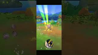 Epic Mankey Community Day in Pokémon GO Catch Shiny Mankey amp Evolve to Annihilape [upl. by Luapnaes196]