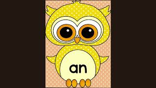 Master Dolch First Grade Sight Words Set 2 Yellow Owl Flashcards  Fall Sight Words Practice [upl. by Betteanne495]