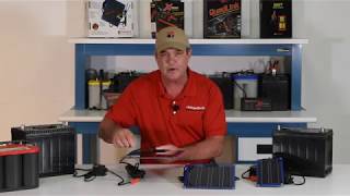 SolarPulse® 12Volt LeadAcid Battery Charger Desulfators [upl. by Sedgewake]