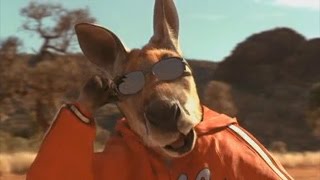 The entire Kangaroo Jack movie but it is just kangaroos [upl. by Gracie]