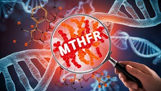 3 Decoding MTHFR  Understanding the Gene Polymorphism that Affects Us All [upl. by Aihsenyt163]