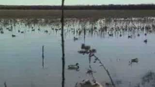 Duck Thang  Duck Decoy Motion System [upl. by Suravaj520]