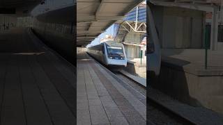 Buzinadelas do Alfa Pendular trainspotter train viralvideo shortvideo shorts video travel [upl. by Ahsikit629]