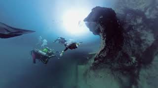 Diving Barracuda lake Coron Philippines [upl. by Aicrag558]