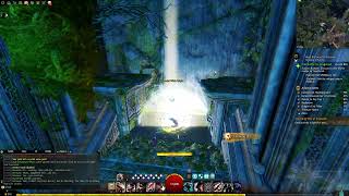 Guild Wars 2 Insight  Ferndale Stairs The Echovald Wilds [upl. by Goodrow]