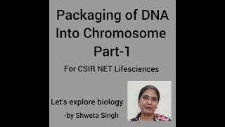 Packaging of DNA into Chromosome Part 1Molecular Biology [upl. by Hanonew]