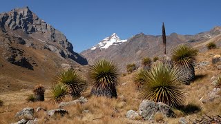 Peru Cordillera Blanca Olleros  Chavín de Huántar Laguna Querococha  Cátac Individual Trekking [upl. by Ybeloc]