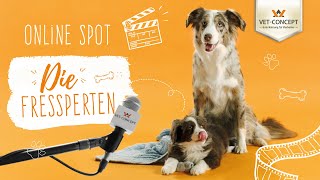 Online Spot 2021  Die Fressperten  VetConcept [upl. by Whit]