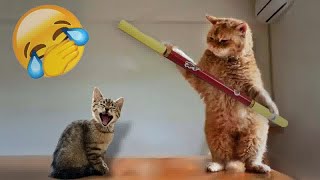 😂 Funniest Cats and Dogs Videos 😻 Best Funny Animal Videos 2024 🤣😹 [upl. by Dupuy]