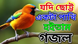 যদি ছোট্ট একটা পাখি হইতাম  Jodi sutto ekta pakhi hoitam  খুবই সুন্দর একটা মদিনার গজল [upl. by Tella777]