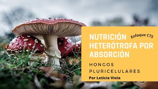 HONGOS PLURICELULARES  NUTRICIÓN HETERÓTROFA POR ABSORCIÓN [upl. by Ecyla]