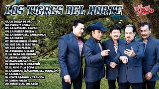 Los Tigres Del Norte 💧 Puros Corridos Mix 2022 💧 20 Grandes Éxitos [upl. by Newberry244]