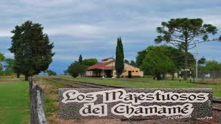 Los Majestuosos del Chamamé  Enganchados En Vivo 1 🎶🎼🎵♩ [upl. by Acsot]