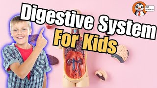 The Amazing Digestive System Explained for Kids [upl. by Clarie]