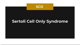 Sertoli cell only syndrome [upl. by Johannah]