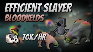 Efficient Bloodvelds Slayer with Cannon 70K Slayer ExpHr [upl. by Manno]