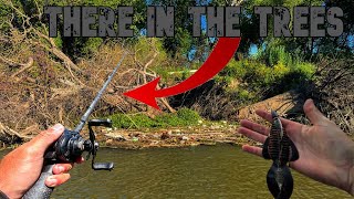 Summer San Joaquin River Bass Fishing  Flipping Flooded Trees And Super Thick Cover [upl. by Ahseekan686]