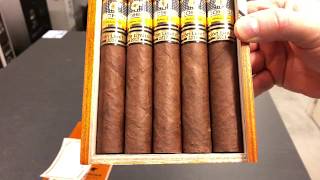 Cohiba Talismán EL2017 [upl. by Nwadrebma]