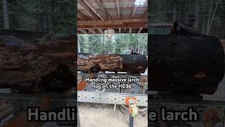 Chopping Giants HD36 Style [upl. by Christopher]