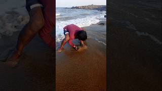 Catching Mole Crabs with Empty Hand fishing fishingvideos thoondilulagam seafishing [upl. by Nnyleimaj149]