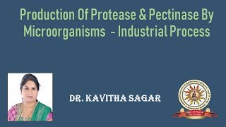 industrial production pectinase and protease production [upl. by Yrocej]