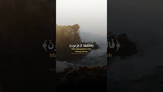 فا لتقته ال فرعون quran quotes muslim history fyp [upl. by Jankey689]