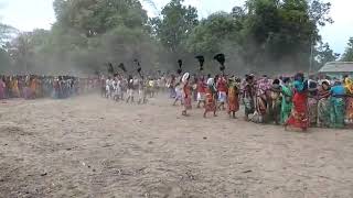 Dantewada adivasi dance [upl. by Welcy274]