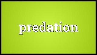 Predation Meaning [upl. by Gaye]