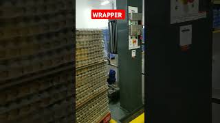 AUTOMATIC WRAPPING MACHINE plasticwrap wrappingmachine packagingmachine viralshort [upl. by Spalding]