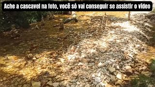 Ache a cascavel na foto você só vai conseguir se assistir o vídeo [upl. by Nemra584]