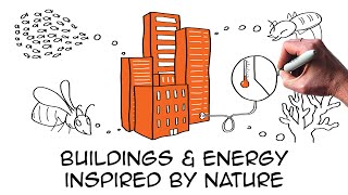 5 amazing biomimicry examples providing real sustainability solutions  Architecture Building Energy [upl. by Llerol]