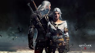 The Witcher 3 Wild Hunt PS5 Part 49  Blindingly Obvious amp Reason Of State [upl. by Bronnie]