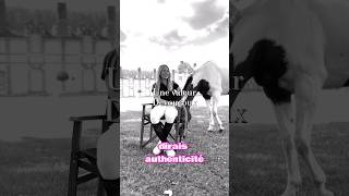 INTERVIEW par DEVOUCOUX 💚😳 cheval chevaux equitation poney jumping horse [upl. by Getraer]