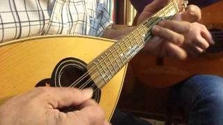 Tarantella Napoletana  Italian Mandolin music by Antonio Calsolaro [upl. by Hodgkinson]