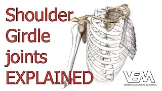 Joints of the Shoulder Girdle [upl. by Nawiat]