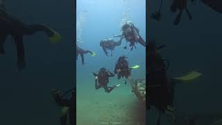 REDANG MERDEKA 2024 discoverscubamy divewithdsdiveteam [upl. by Nymassej628]