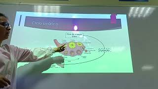 Ciclos Menstruales y Hemorragia [upl. by Ilagam]