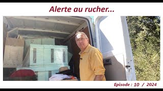 Alerte au rucher… apiculteur lesabeillesdefred07apicultureabeille [upl. by Ainesej]