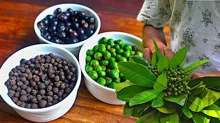 Jamaican Pimento The Allspice Journey from Harvesting to Culinary Uses [upl. by Mallissa]