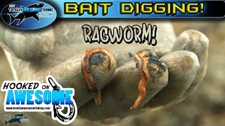 Awesome Bait Digging Tips  Ragworm  TAFishing [upl. by Harrie]