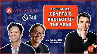 Avalanche vs Sui Crypto Project of the Year  Innovations and Challenges Explored in Crypto [upl. by Swanhilda]