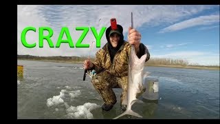 UNREAL VIDEO 2 Paddlefish Caught Ice Fishing [upl. by Ire]