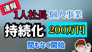 速報・持続化補助金２０２４・個人事業・１人社長・中小企業も小規模事業者２００万円・５０万円・２５０万円【中小企業診断士YouTuber マキノヤ先生】1645回 [upl. by Adorl909]