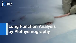 Respiratory Function Analysis by Plethysmography [upl. by Iphlgenia]