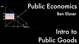 Introduction to Public Goods  Public Economics II 210 [upl. by Aiuoqes664]