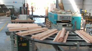 Monari Pallets srl [upl. by Nac561]